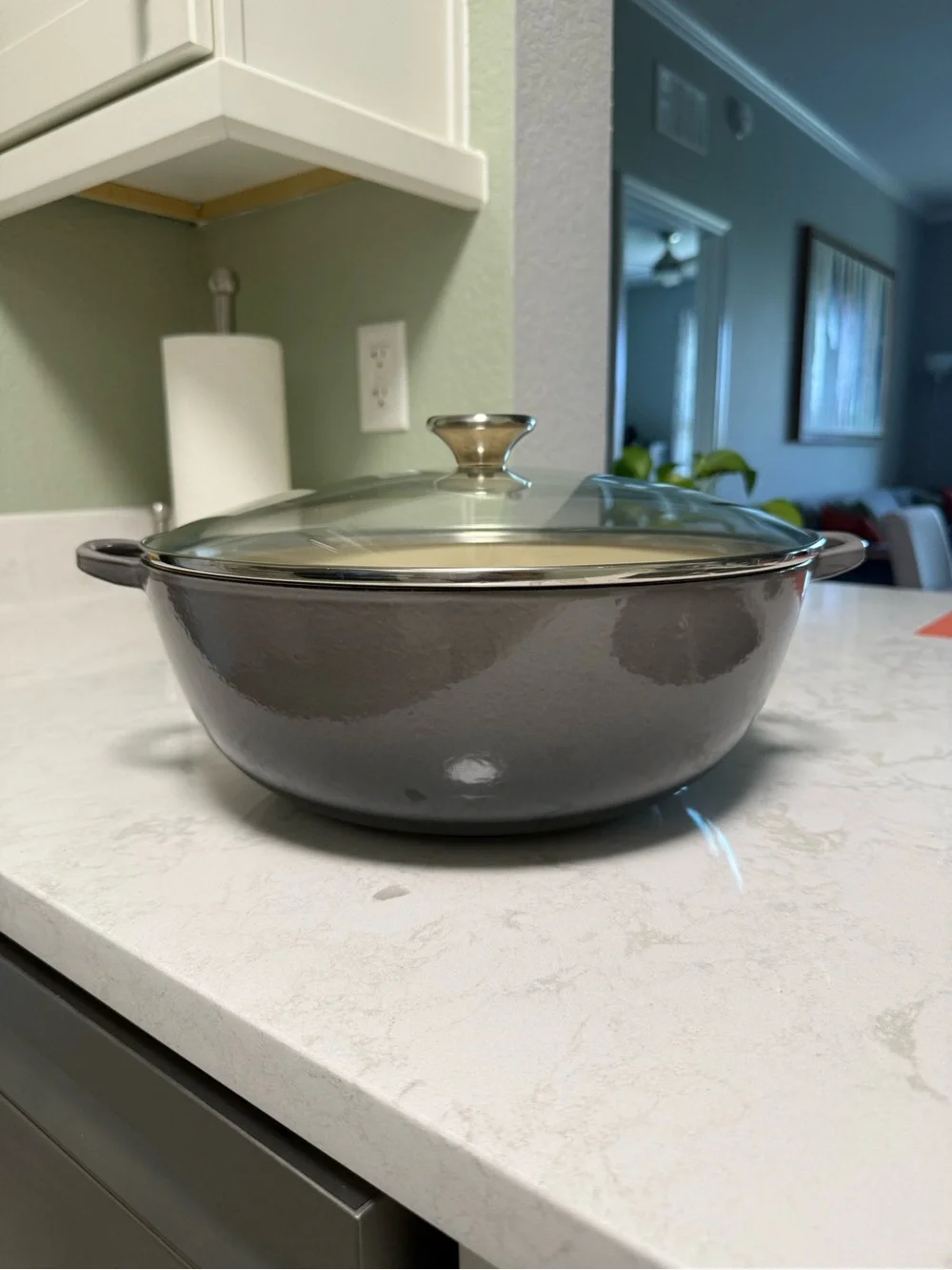 Oyster Gray Le Creuset Enameled Cast Iron soup pot with Glass Lid 5.5 quart